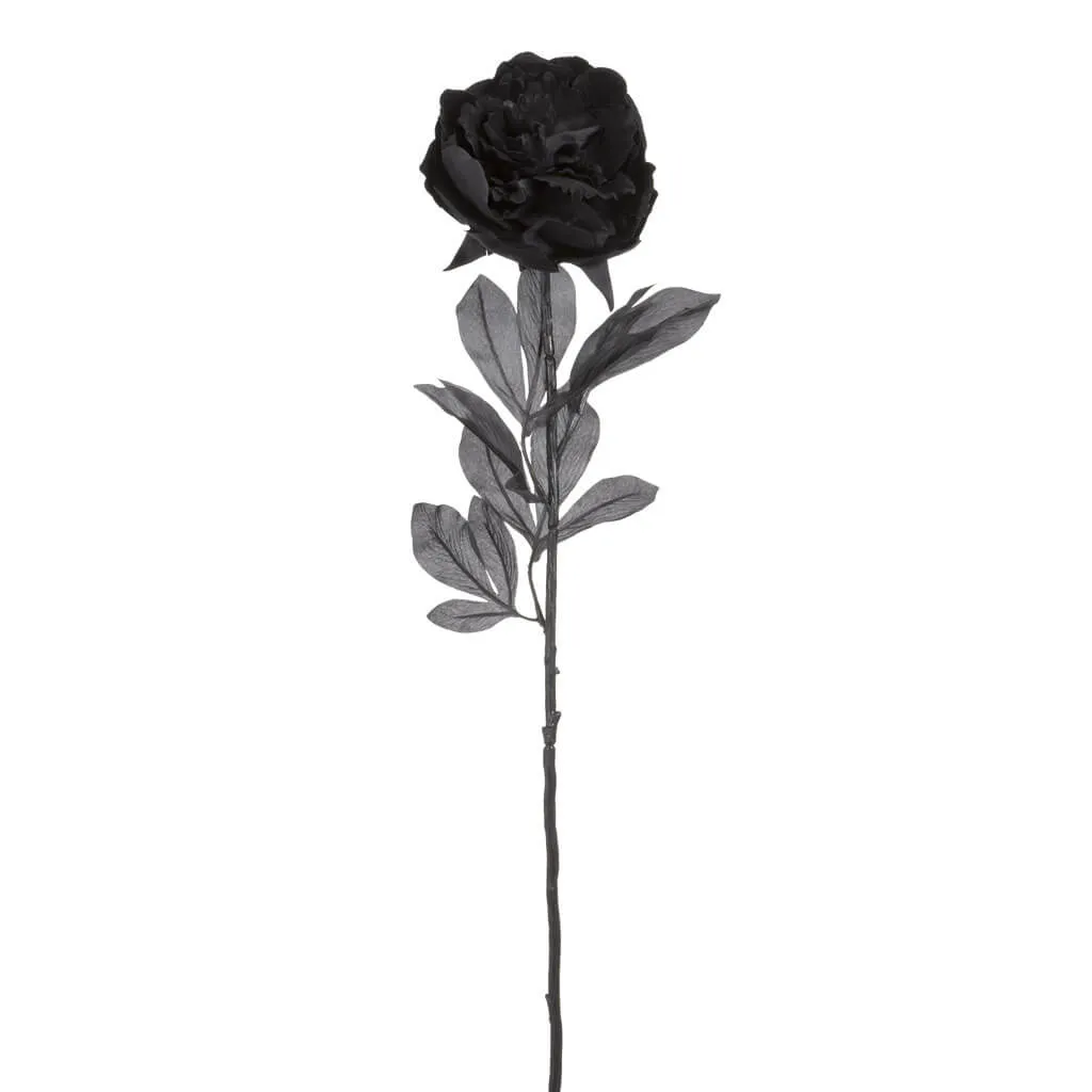 Black Peony Stem, 32in