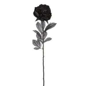 Black Peony Stem, 32in