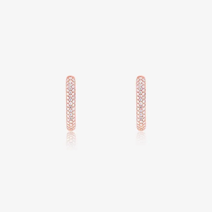 Crystal Rectangular Radiance Earrings