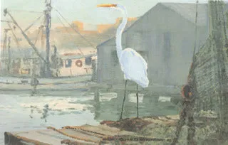 H-73  Common Egret