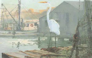 H-73  Common Egret