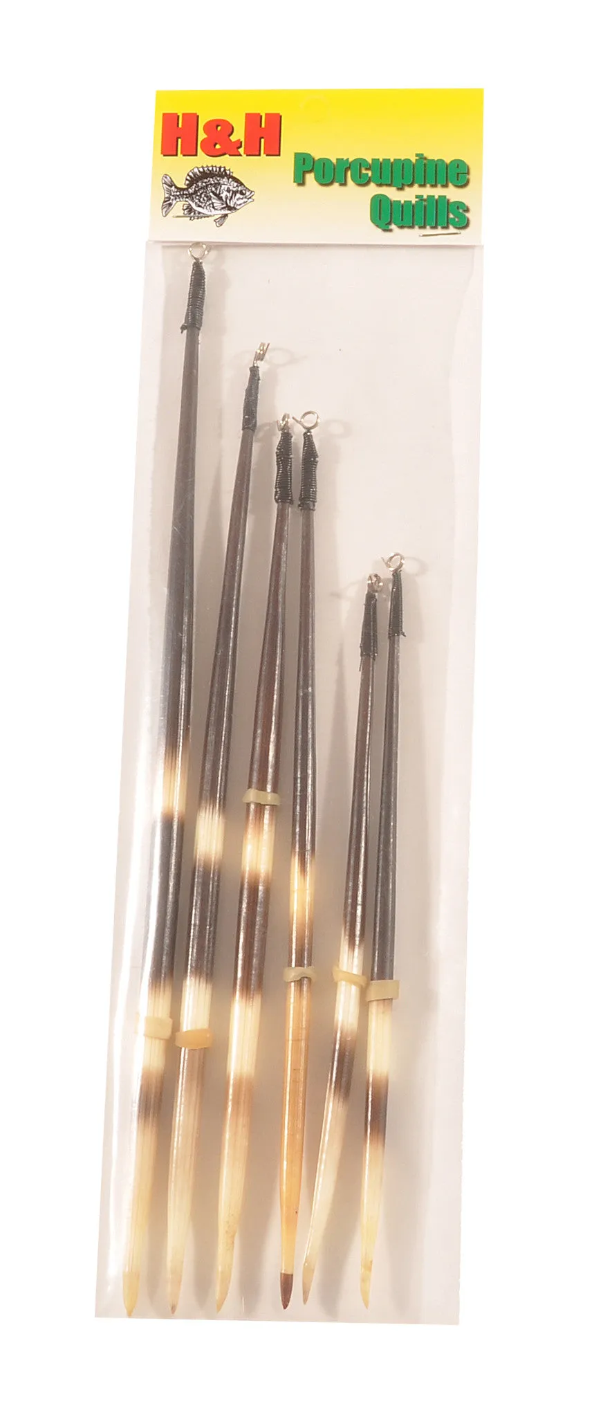 H&H Porcupine Quills