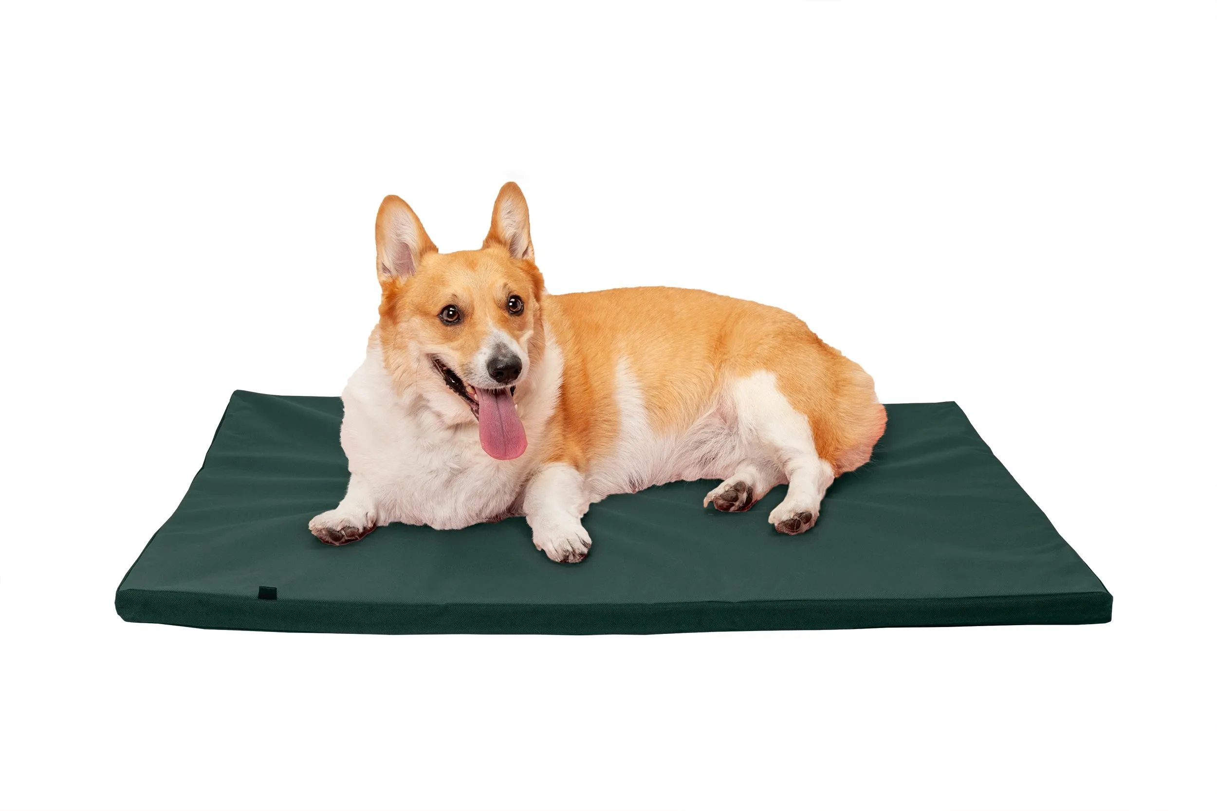 Water-Resistant Kennel Pad for Crates & Kennels